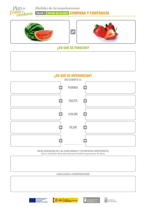 Taller 1 Frutas Y Verduras En Colores Programa Pipo
